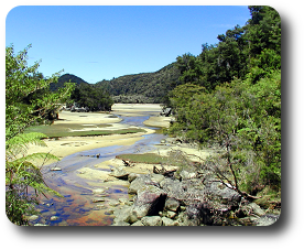 Abel Tasman Nationalpark – Neuseeland Reise